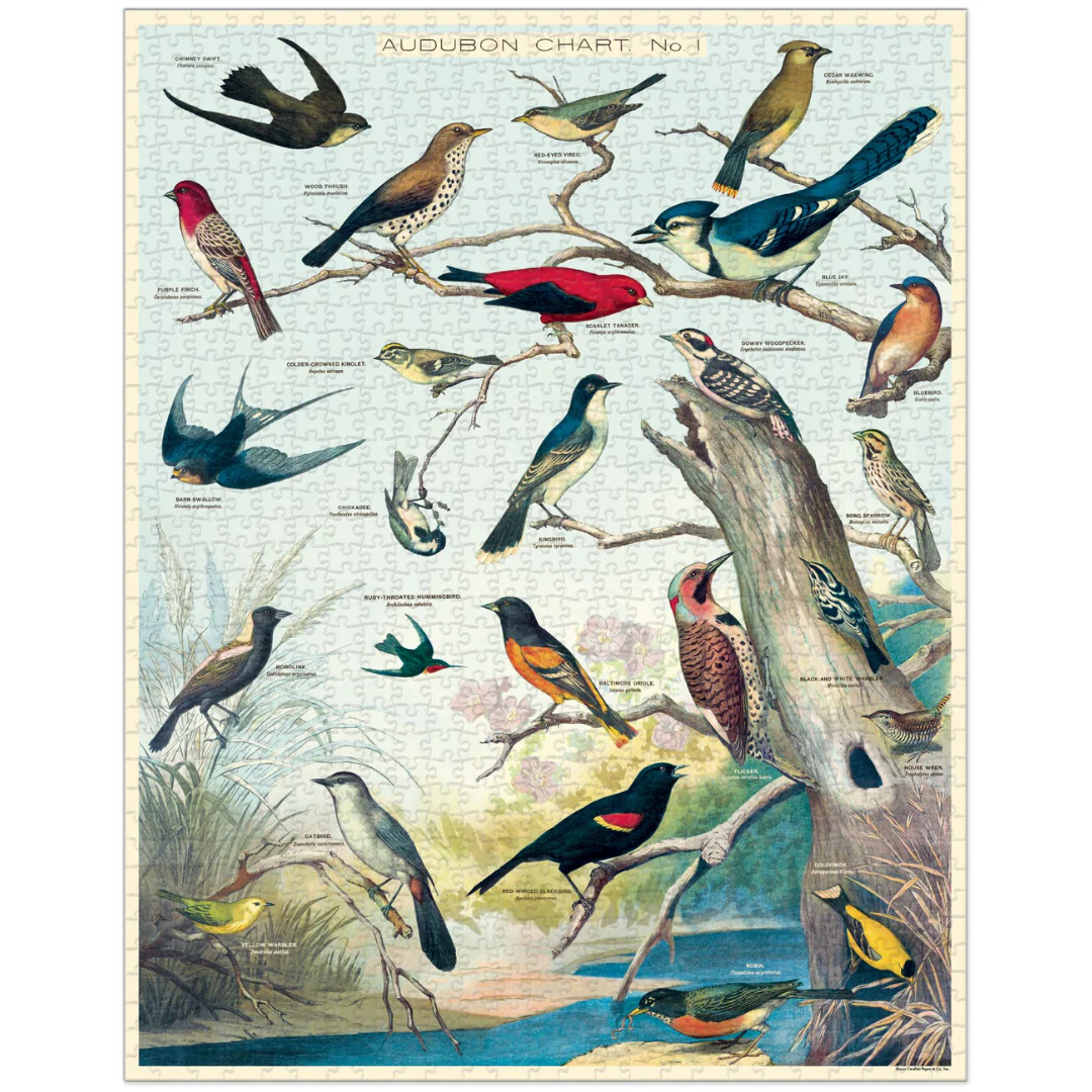 Cavallini & Co. 1000 Piece Puzzle - Audubon Birds - Image 2