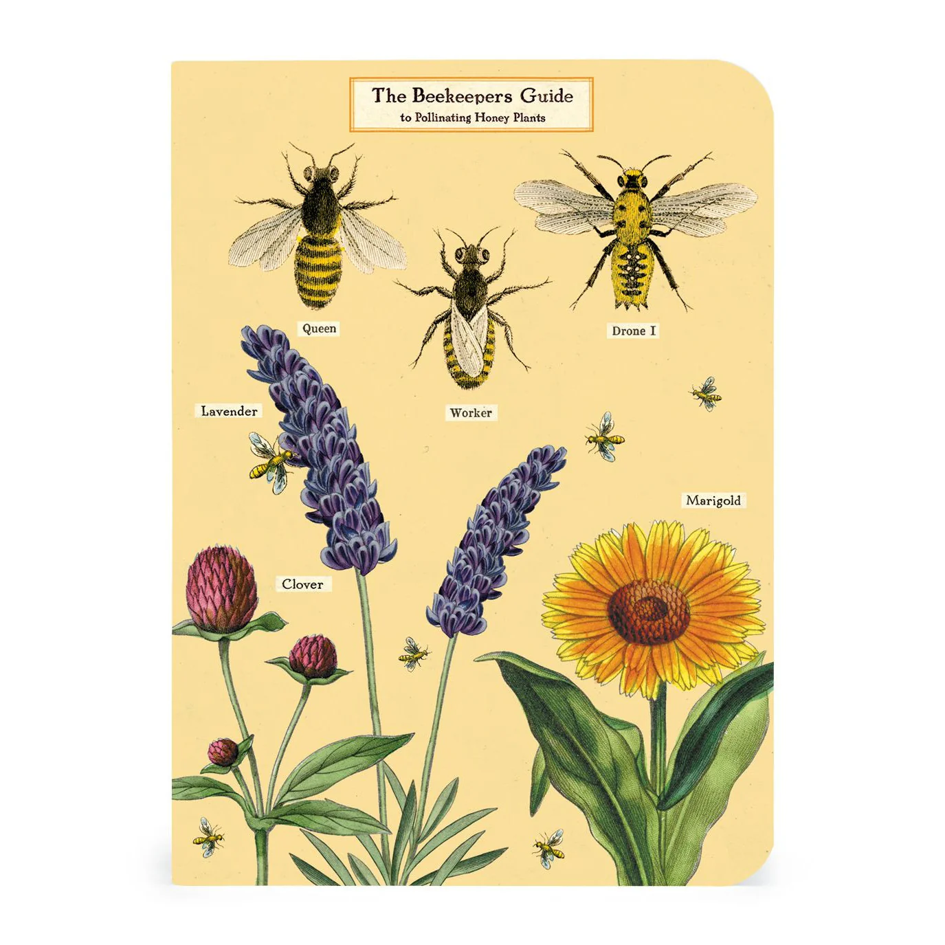 Cavallini & Co. 3 Mini Notebooks - Bees & Honey - Image 3