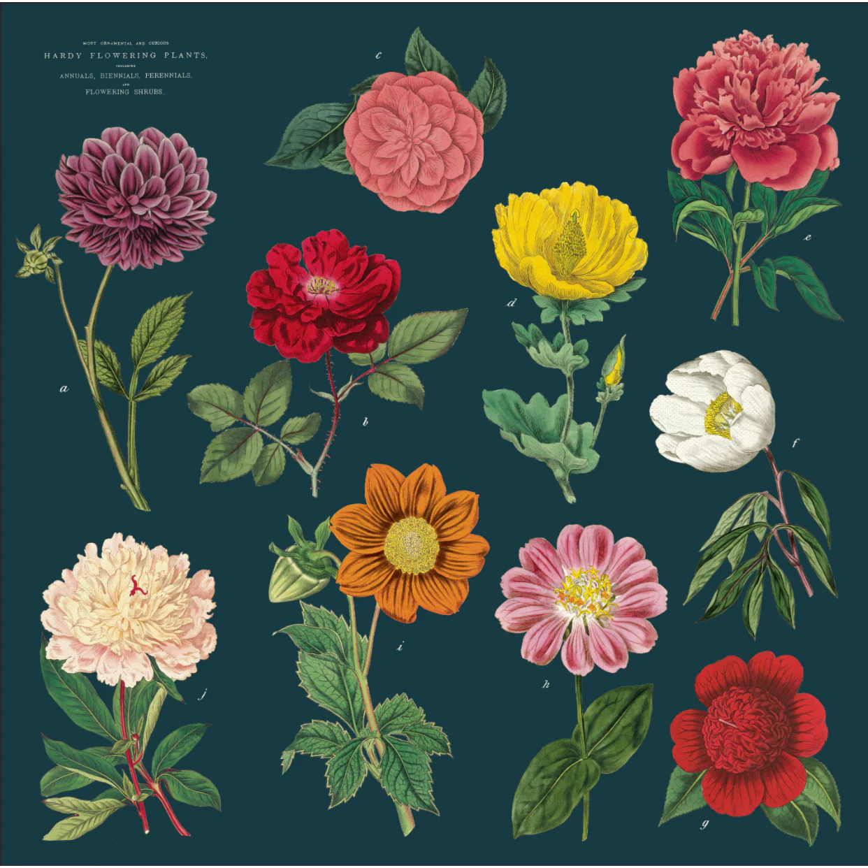 Cavallini & Co. Cloth Napkin Set of 4 - Botanica - Image 2
