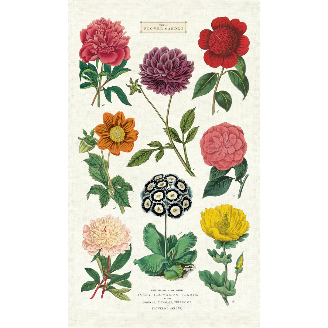 Cavallini & Co. Tea Towel - Botanica - Image 3