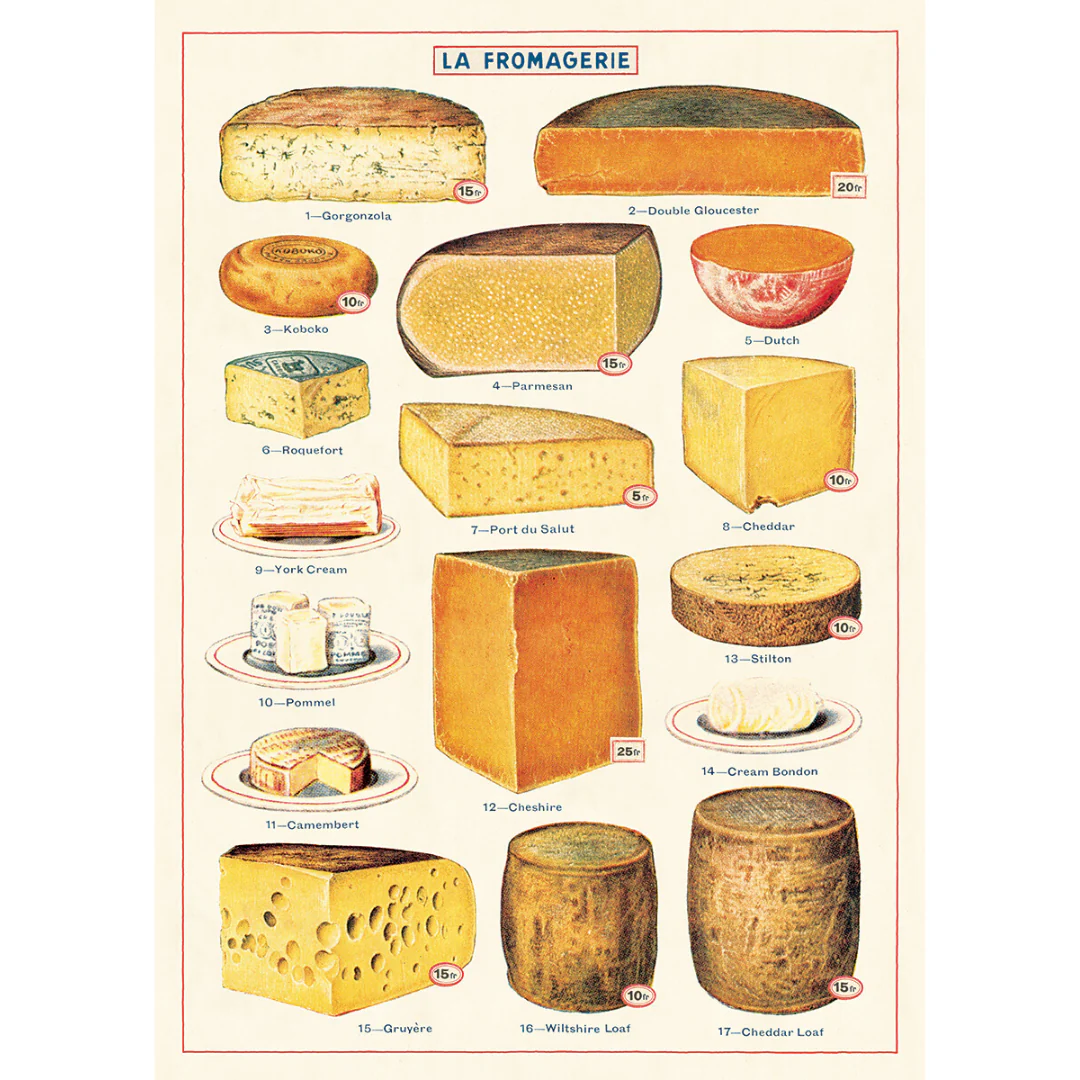 Cavallini & Co. Wrap - Cheese