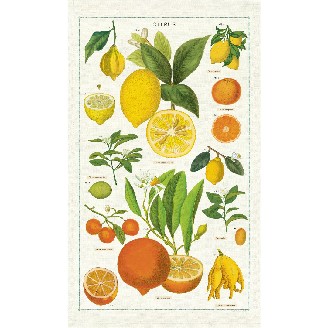 Cavallini & Co. Tea Towel - Citrus - Image 3