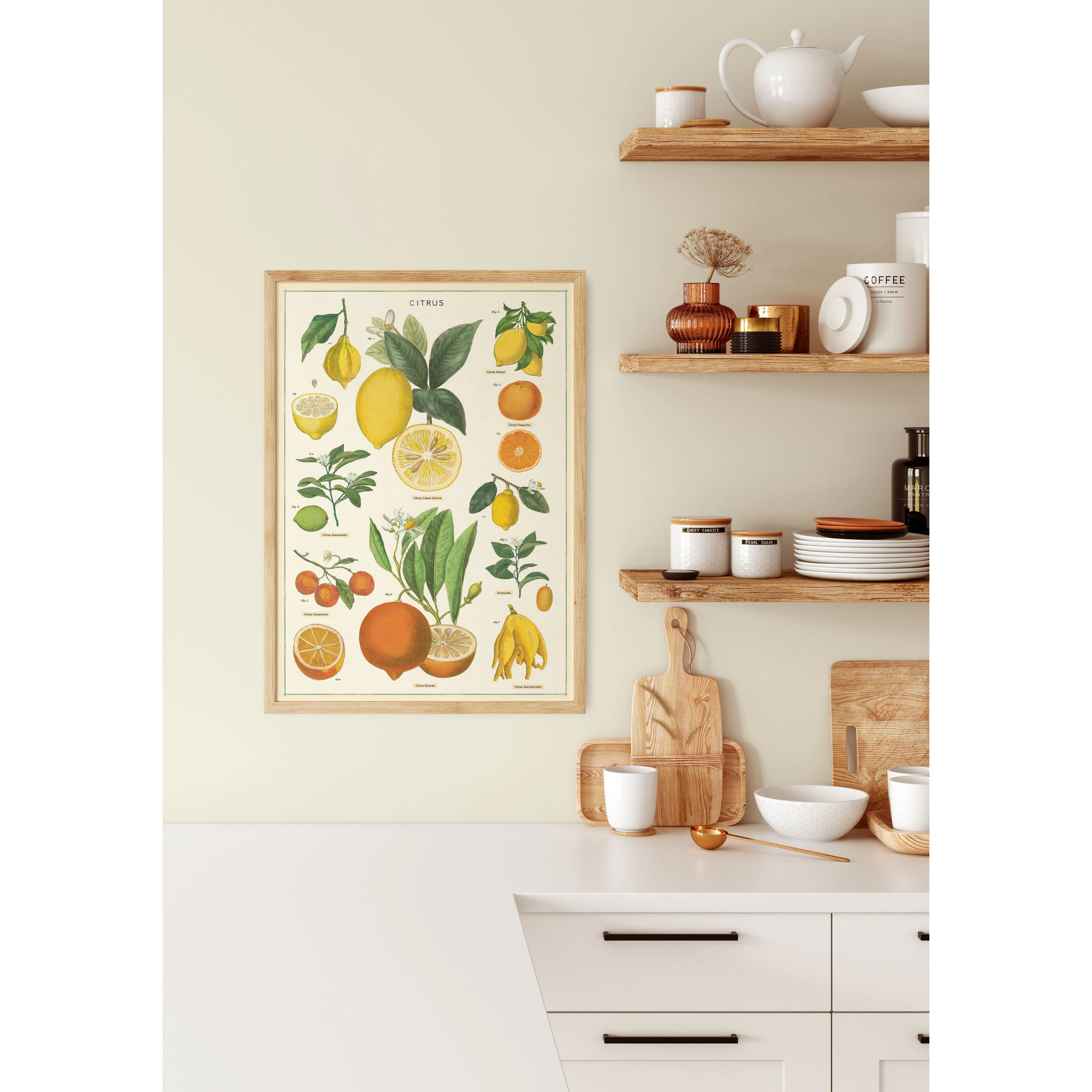 Cavallini & Co. Wrap - Citrus - Image 2