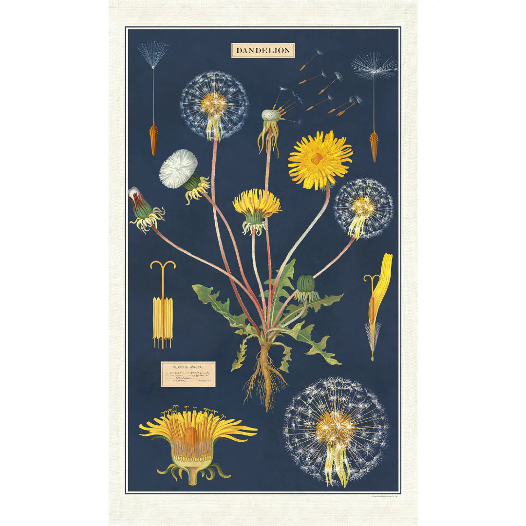 Cavallini & Co. Tea Towel - Dandelion - Image 3