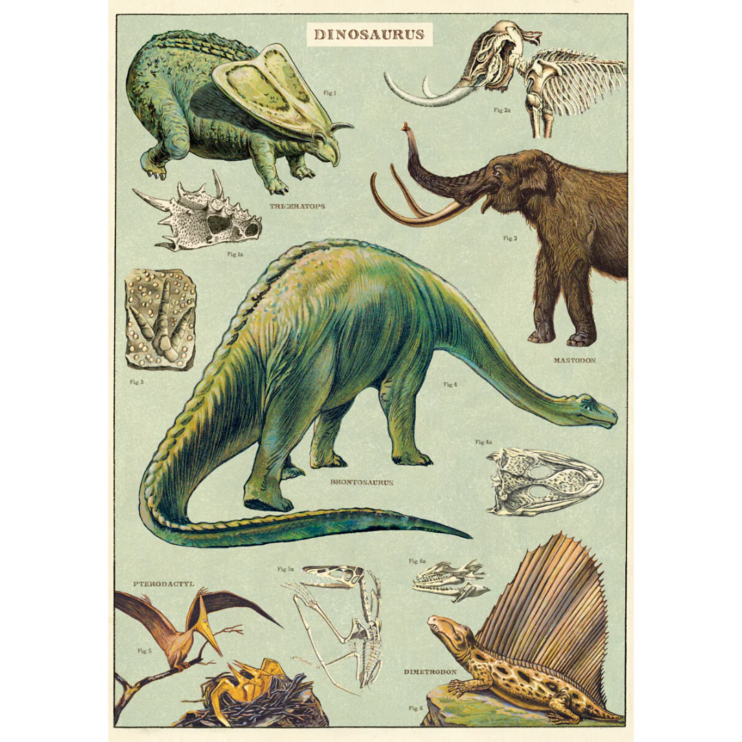 Cavallini & Co. Wrap - Dinosaurs