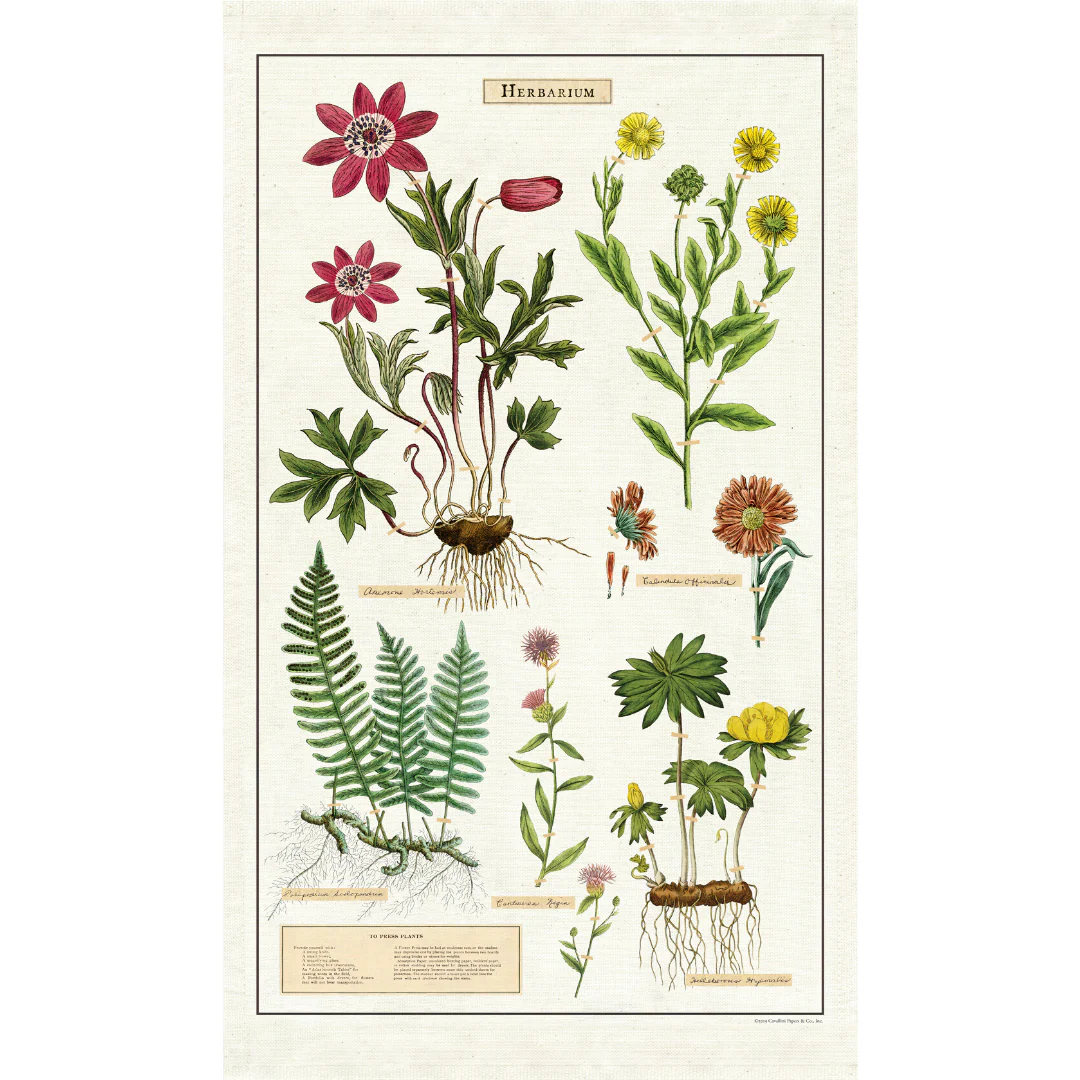 Cavallini & Co. Tea Towel - Herbarium - Image 3