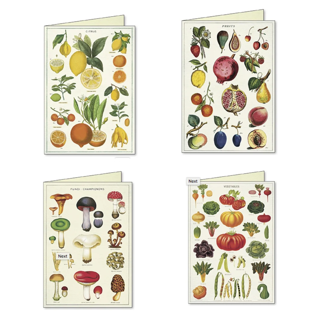 Cavallini & Co. Boxed Note Cards - Jardin - Image 3