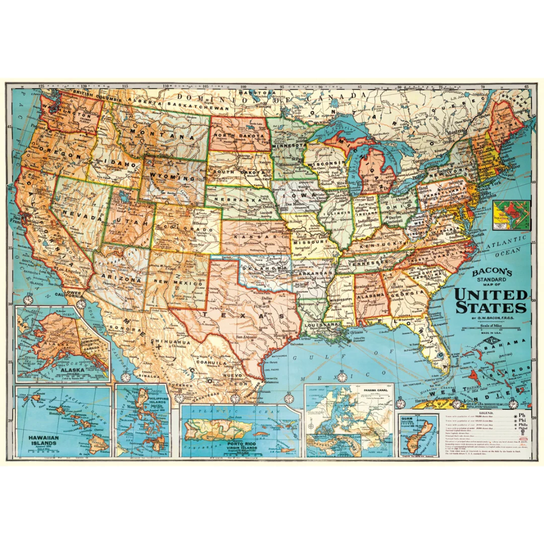 Cavallini & Co. Wrap - Map USA