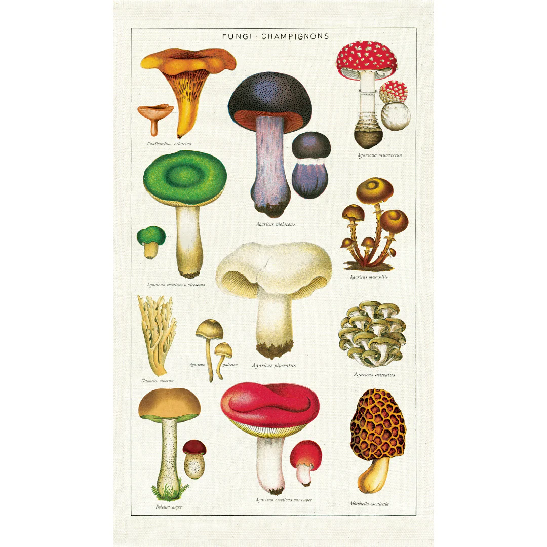 Cavallini & Co. Tea Towel - Mushroom - Image 3