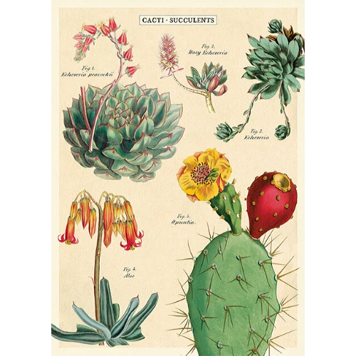 Cavallini & Co. Wrap - Succulents 2