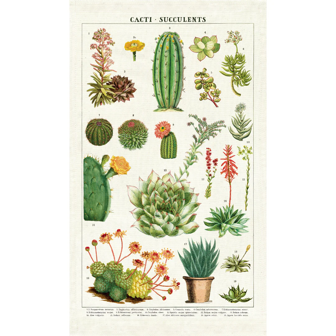 Cavallini & Co. Tea Towel - Succulents - Image 3