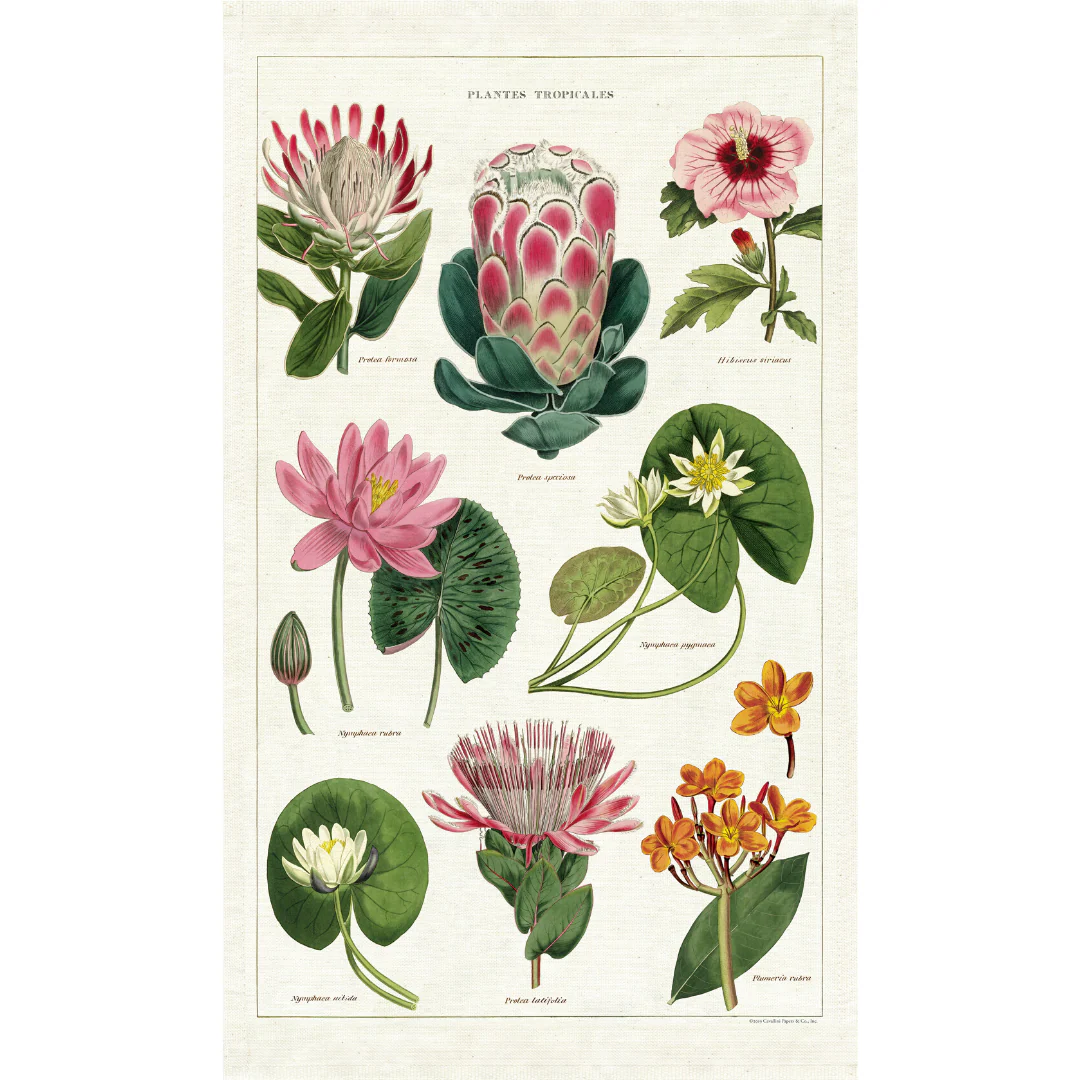 Cavallini & Co. Tea Towel - Tropical Plants - Image 3