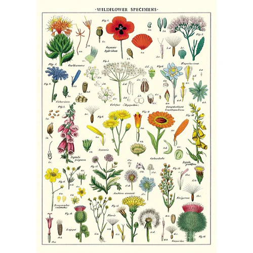 Cavallini & Co. Wrap - Wildflowers