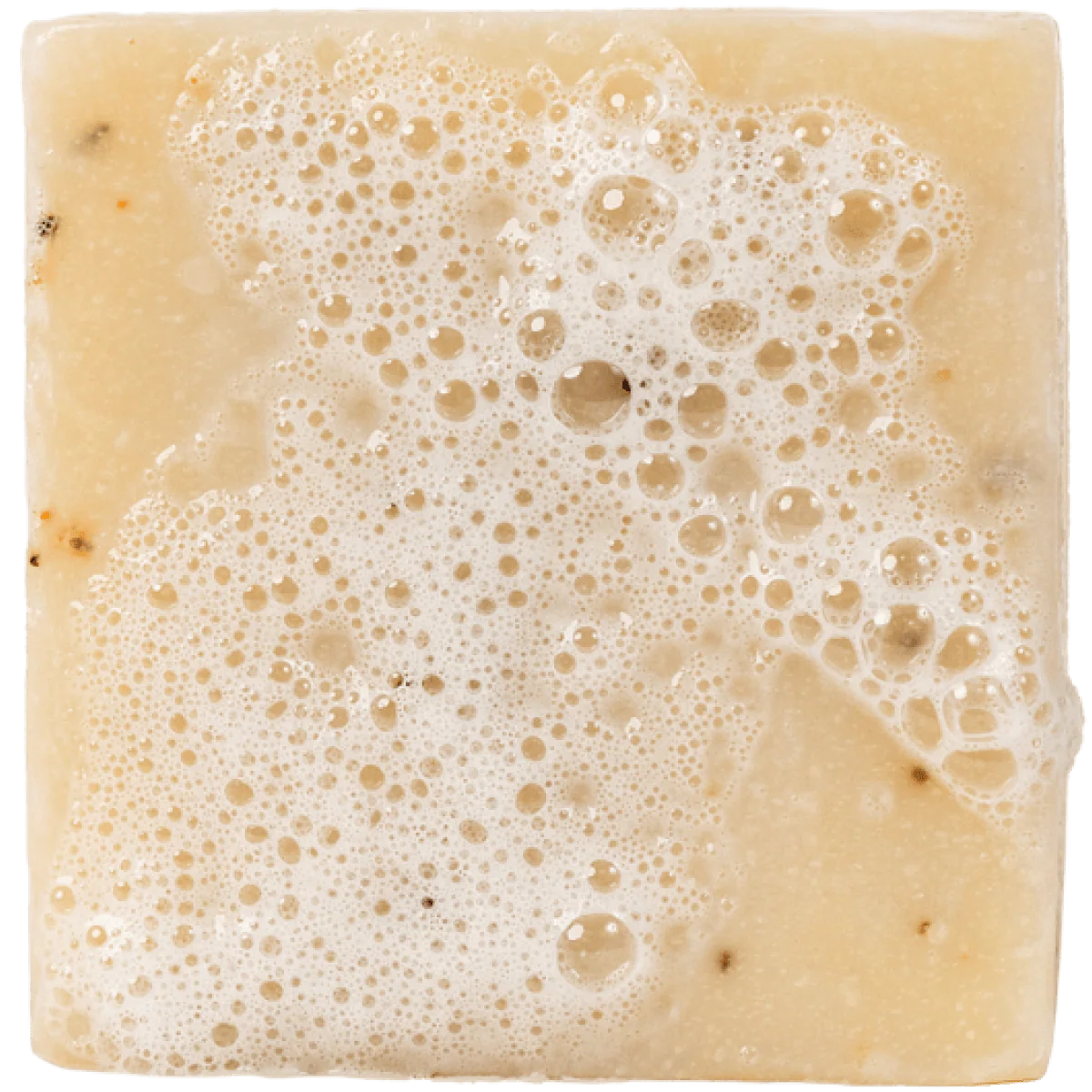 Dr. Squatch Bar Soap - Cedar Citrus - Image 2