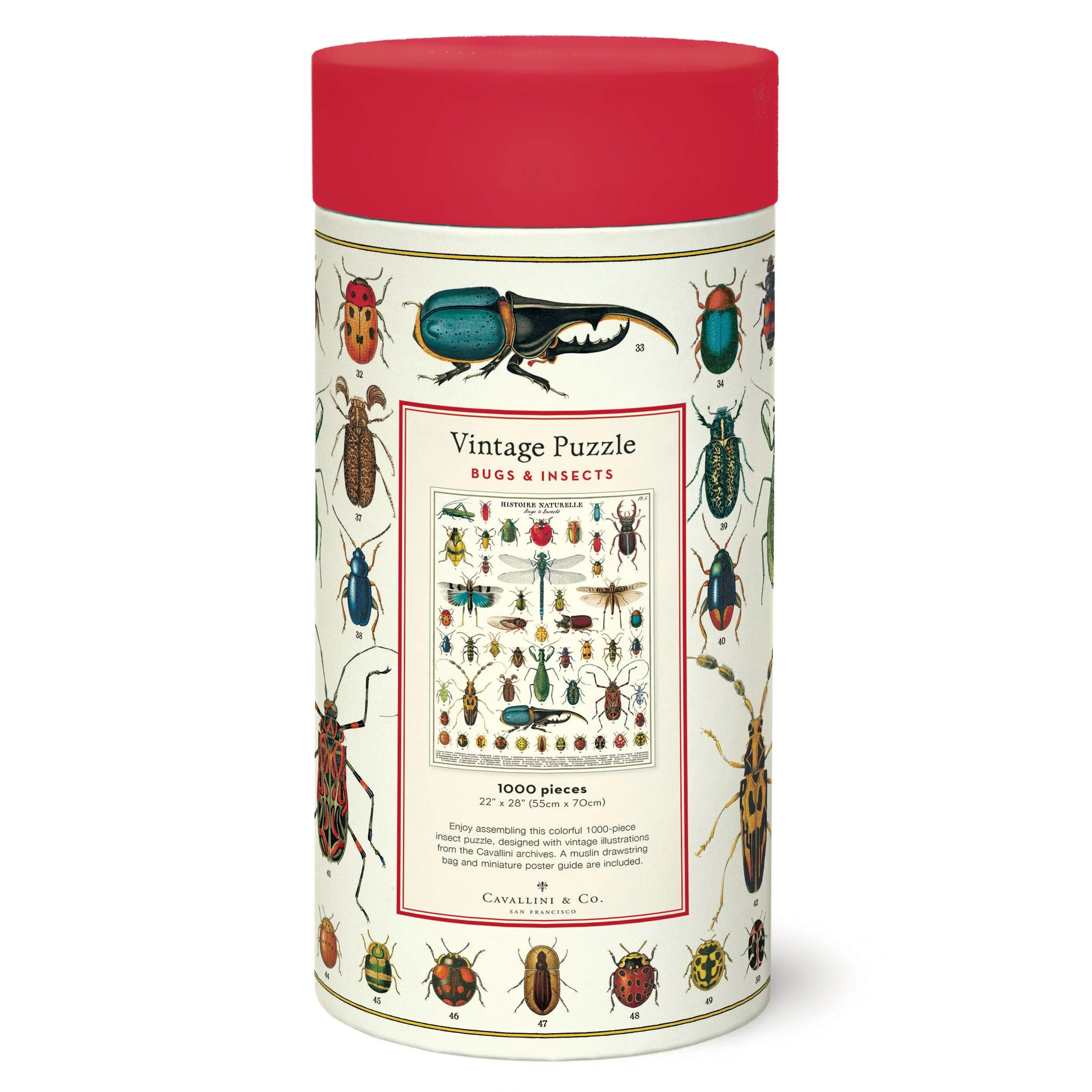 Cavallini & Co. 1000 Piece Puzzle - Bugs & Insects - Image 3