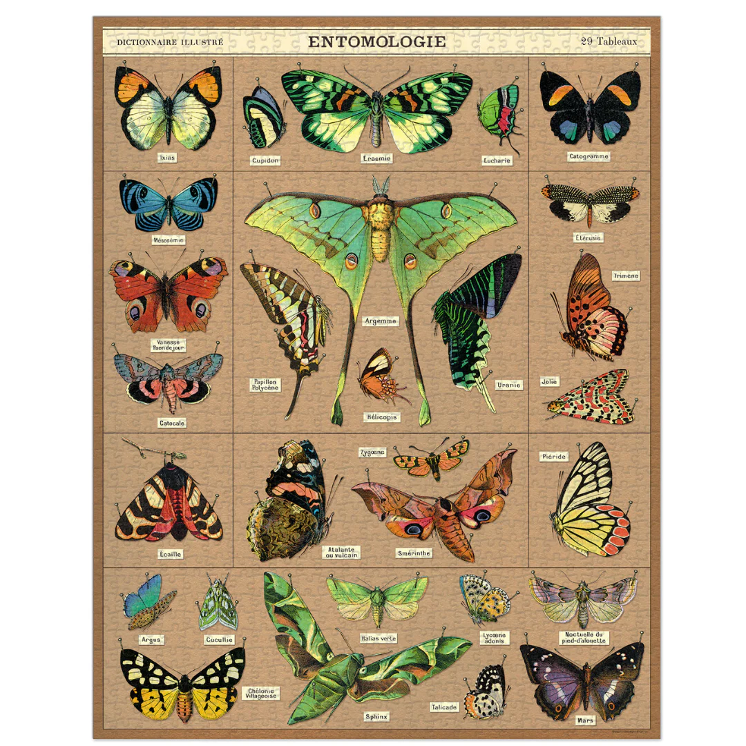 Cavallini & Co. 1000 Piece Puzzle - Entomology - Image 3