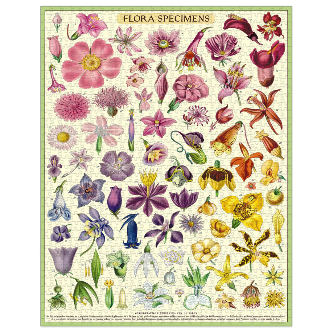 Cavallini & Co. 1000 Piece Puzzle - Flower Specimens - Image 3