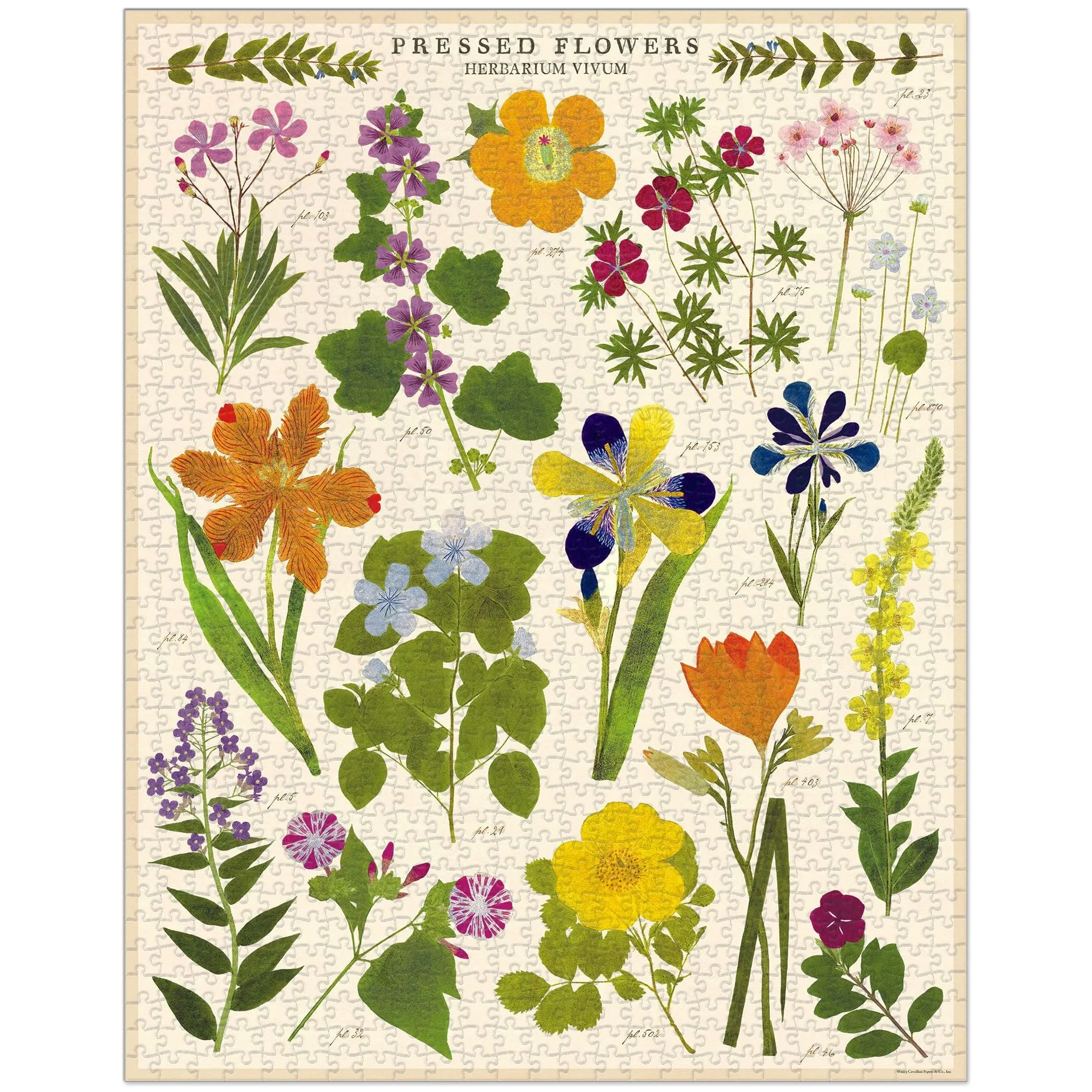 Cavallini & Co.  1000 Piece Puzzle - Pressed Flowers - Image 3