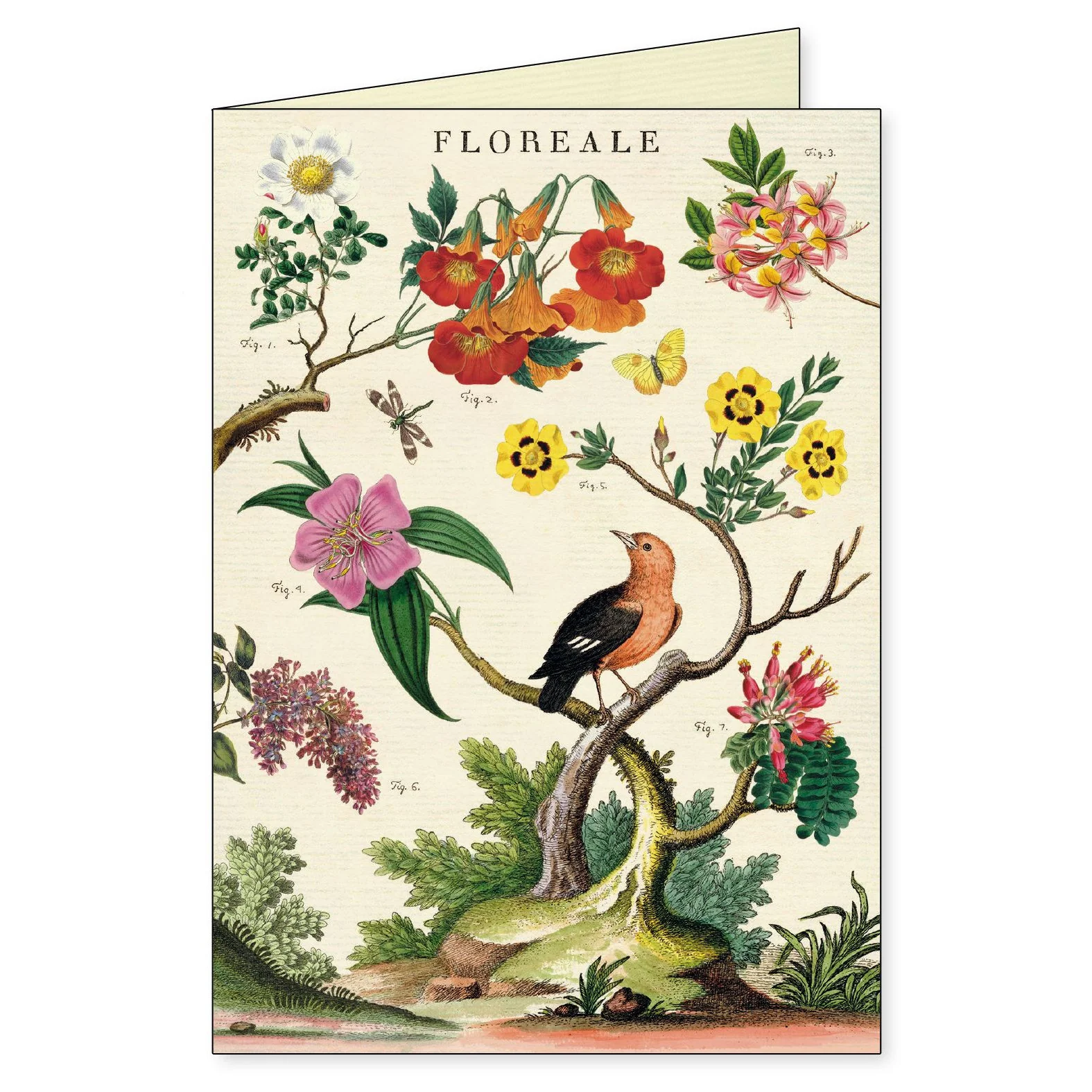 Cavallini & Co. Boxed Note Cards - Floreale - Image 3