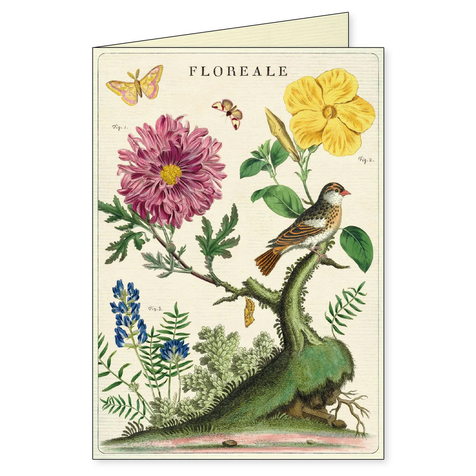 Cavallini & Co. Boxed Note Cards - Floreale - Image 4