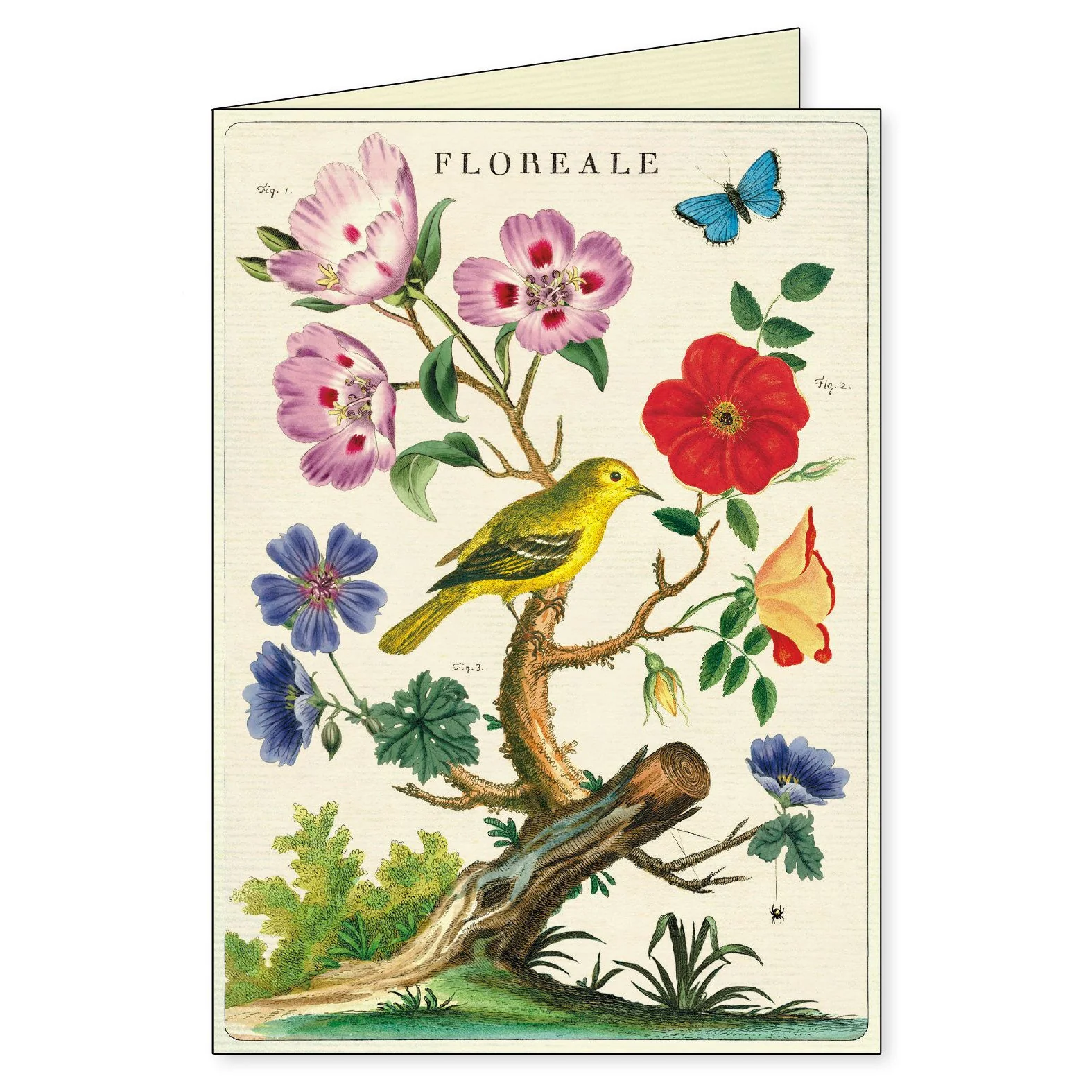 Cavallini & Co. Boxed Note Cards - Floreale - Image 5