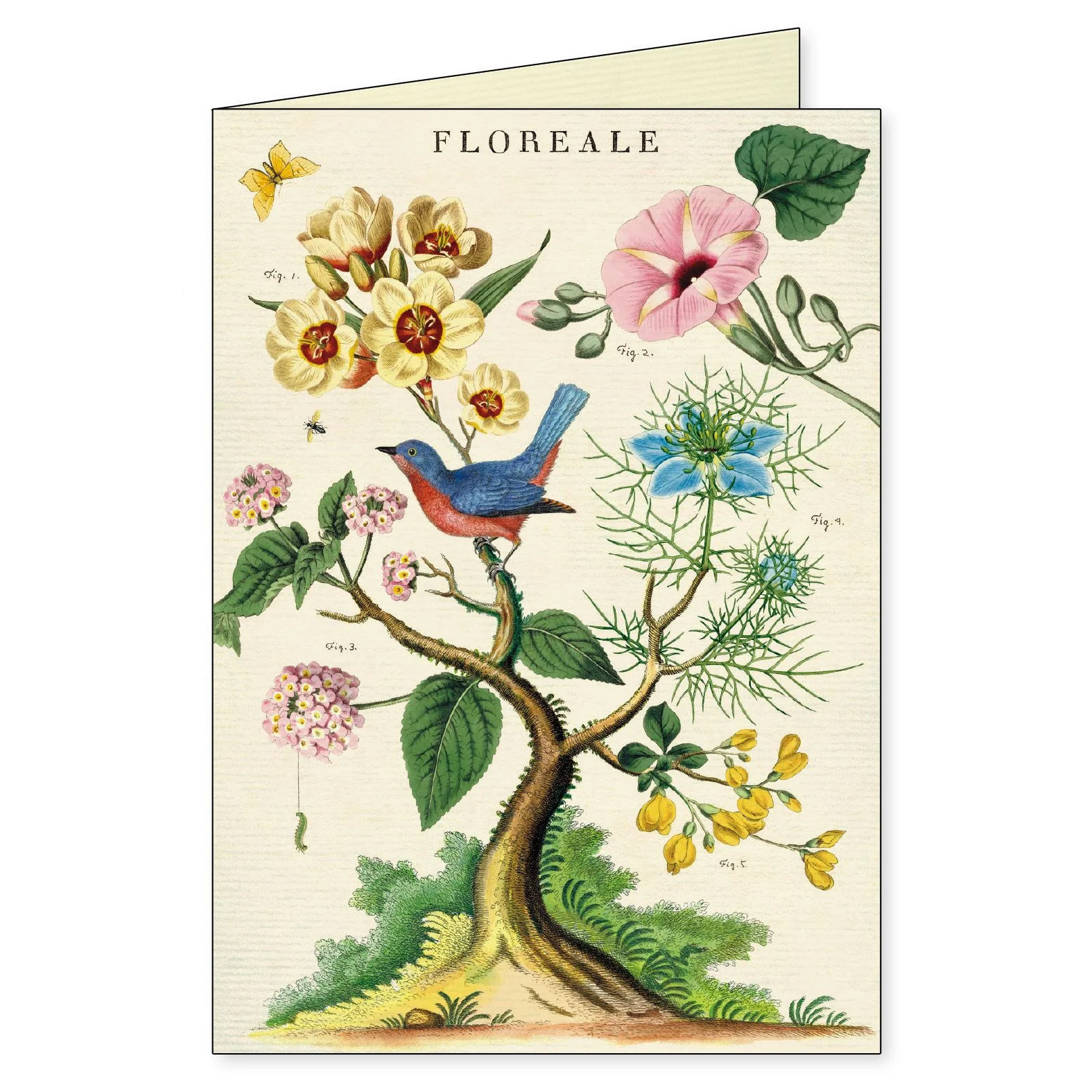 Cavallini & Co. Boxed Note Cards - Floreale - Image 6