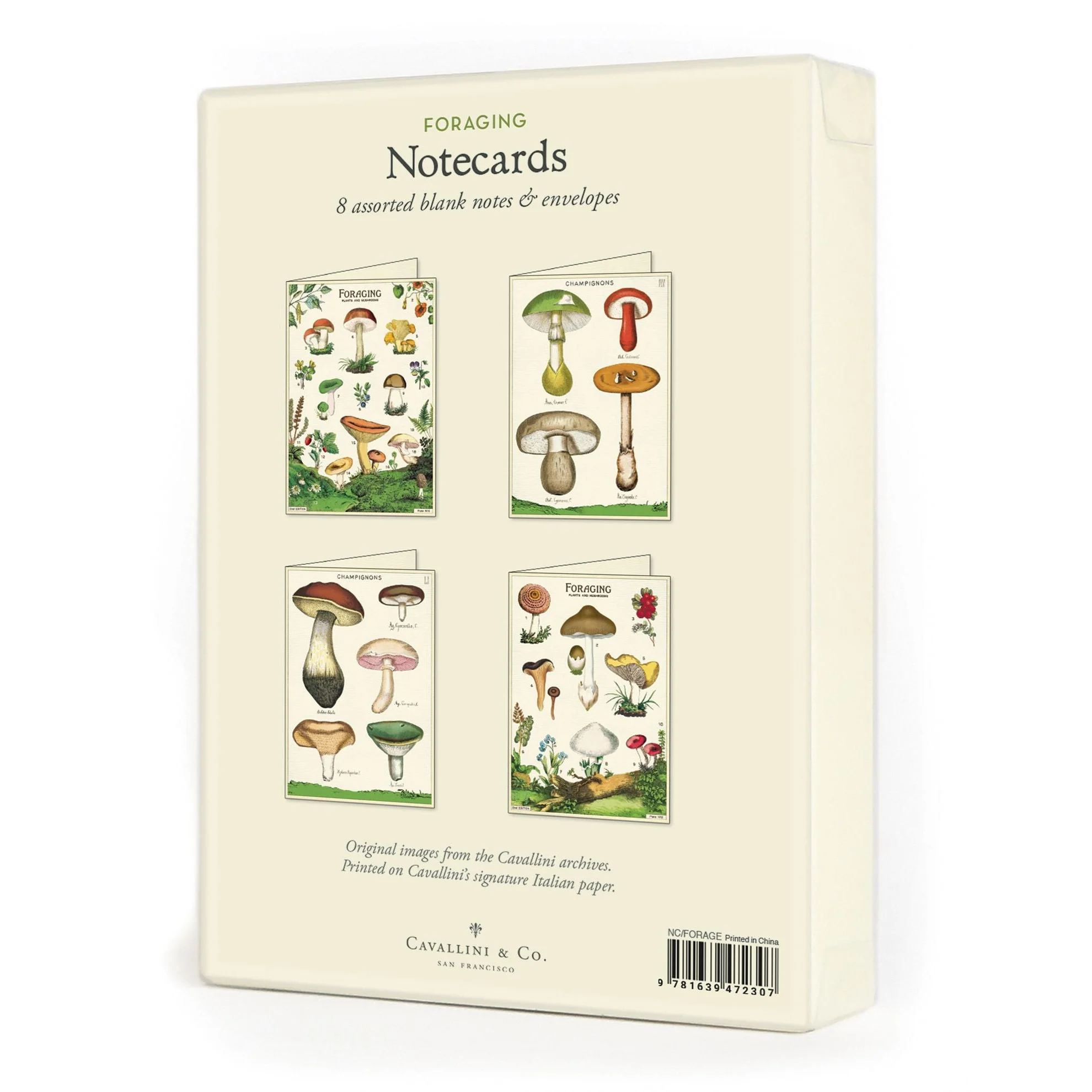 Cavallini & Co. Boxed Note Cards - Foraging - Image 2