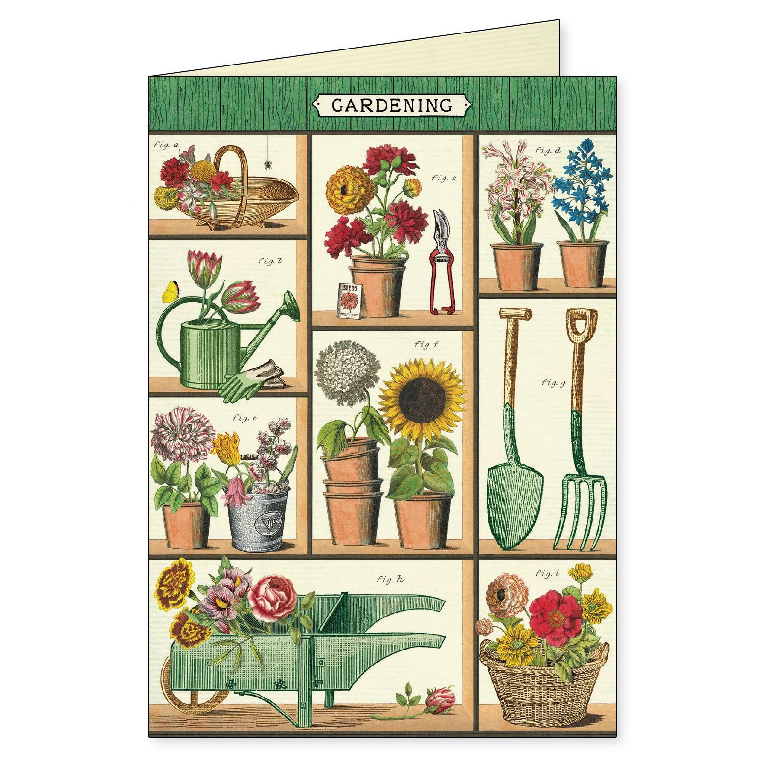 Cavallini & Co. Boxed Note Cards - Gardening - Image 3