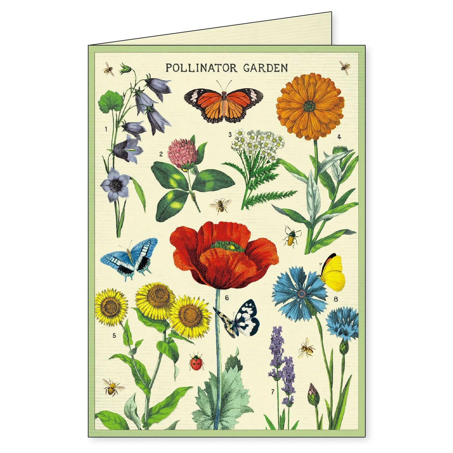 Cavallini & Co. Boxed Note Cards - Gardening - Image 5