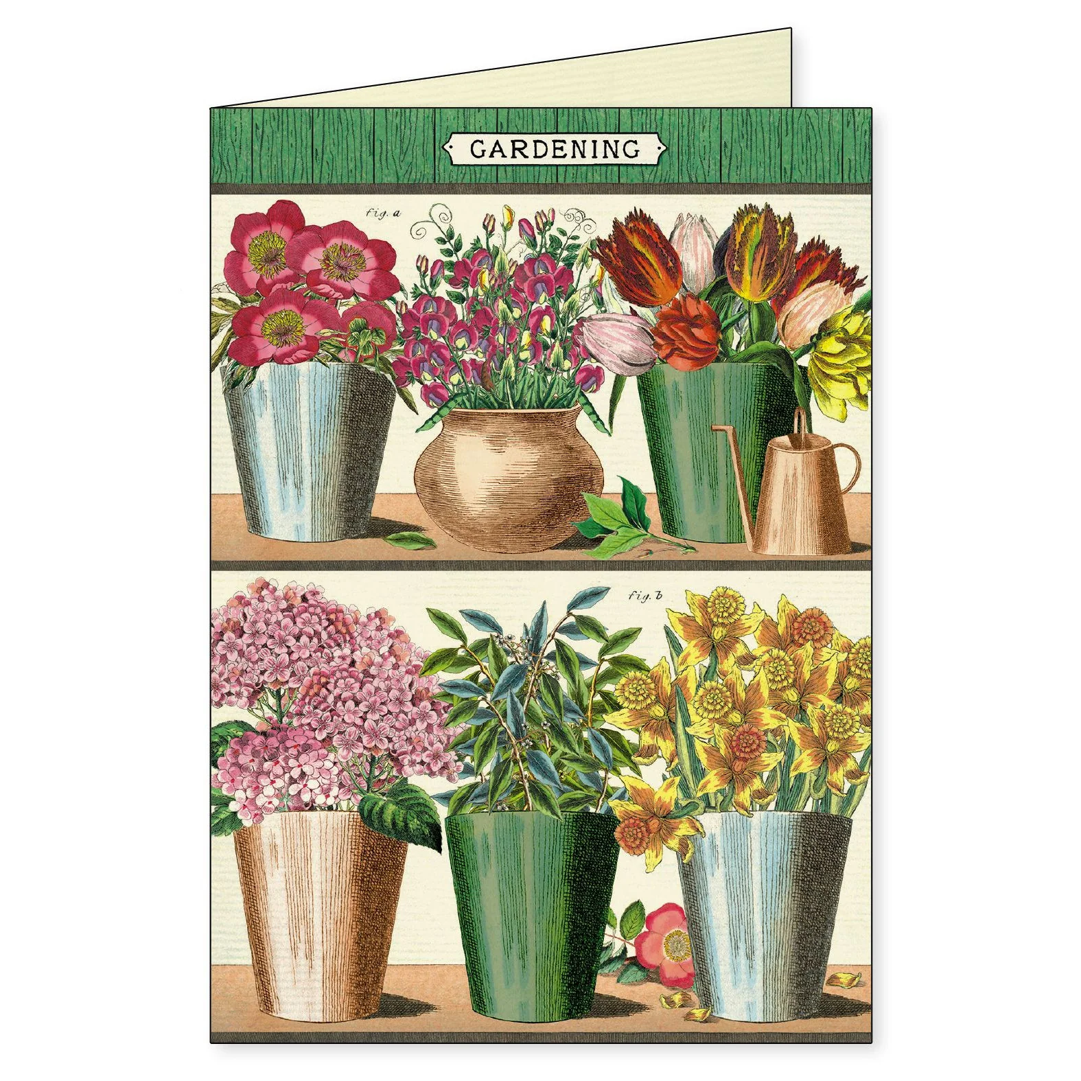 Cavallini & Co. Boxed Note Cards - Gardening - Image 6