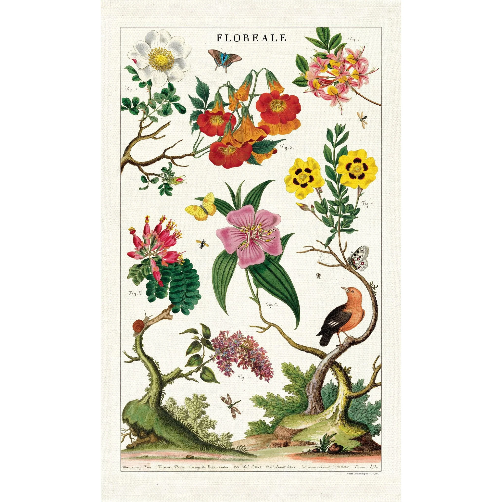 Cavallini & Co. Tea Towel - Floreale - Image 3