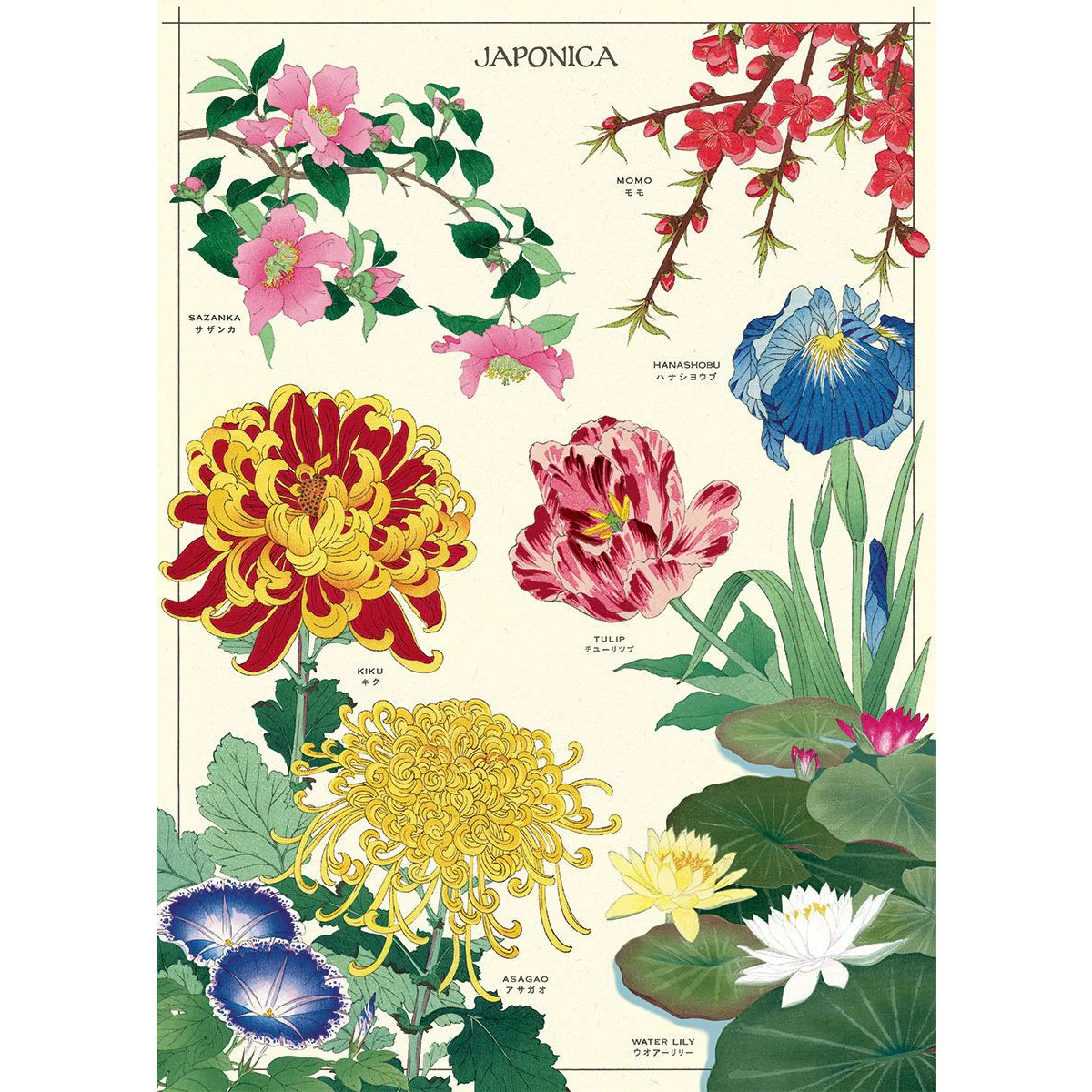 Cavallini & Co. Wrap - Japonica