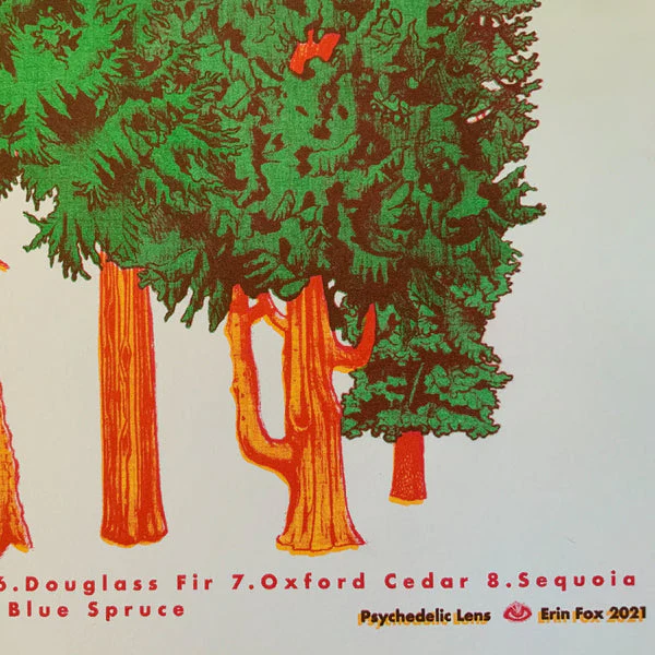 Conifer Riso Print - Image 4
