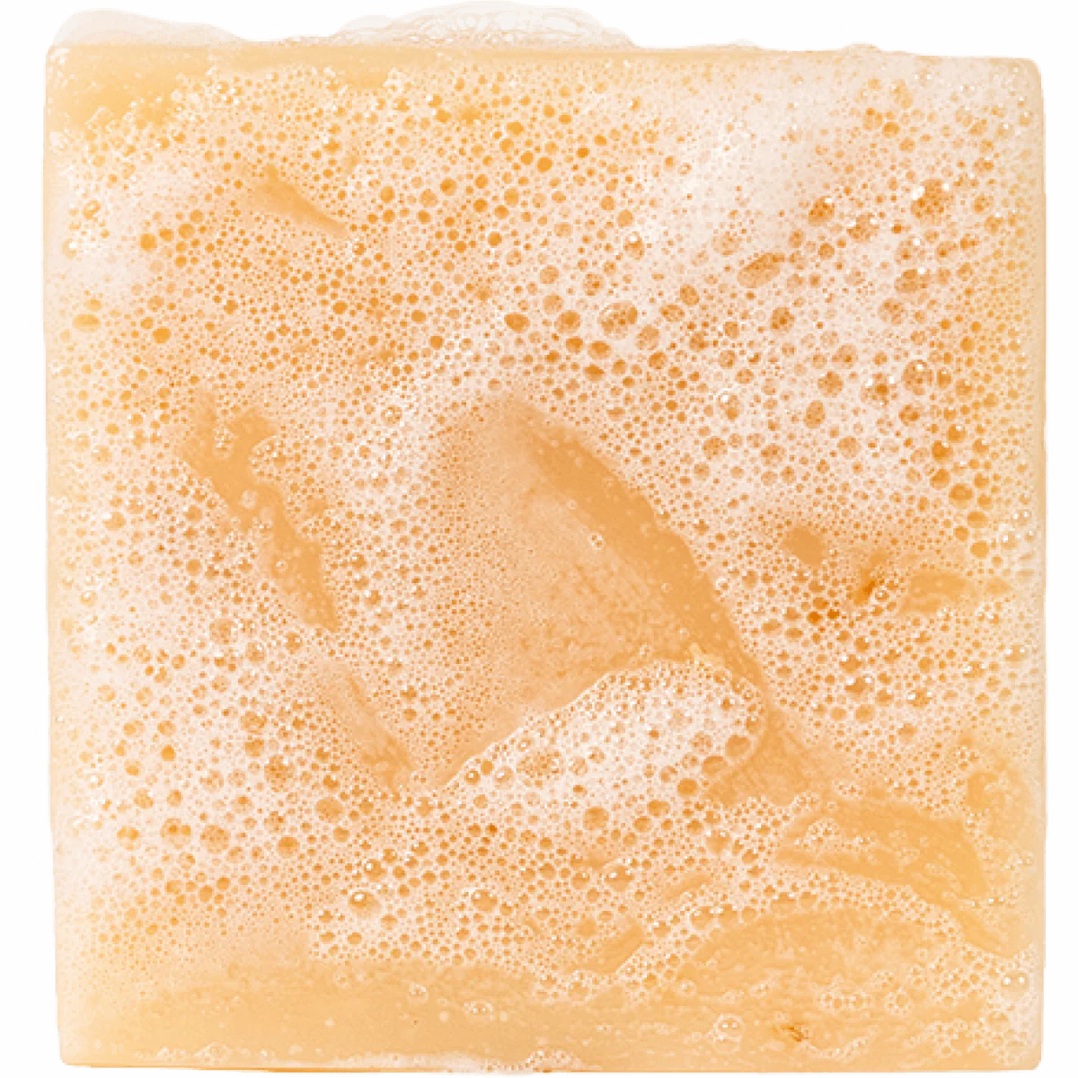 Dr. Squatch Bar Soap - Deep Sea Goats Milk - Image 2