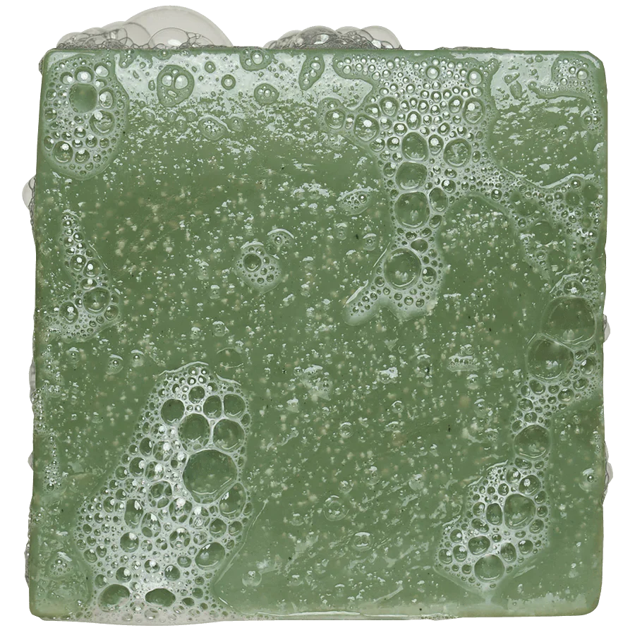 Dr. Squatch Bar Soap - Rainforest Rapids - Image 3