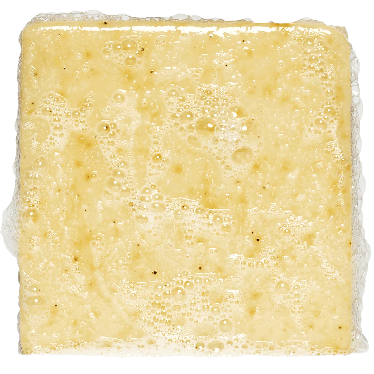 Dr. Squatch Bar Soap - Summer Citrus - Image 3