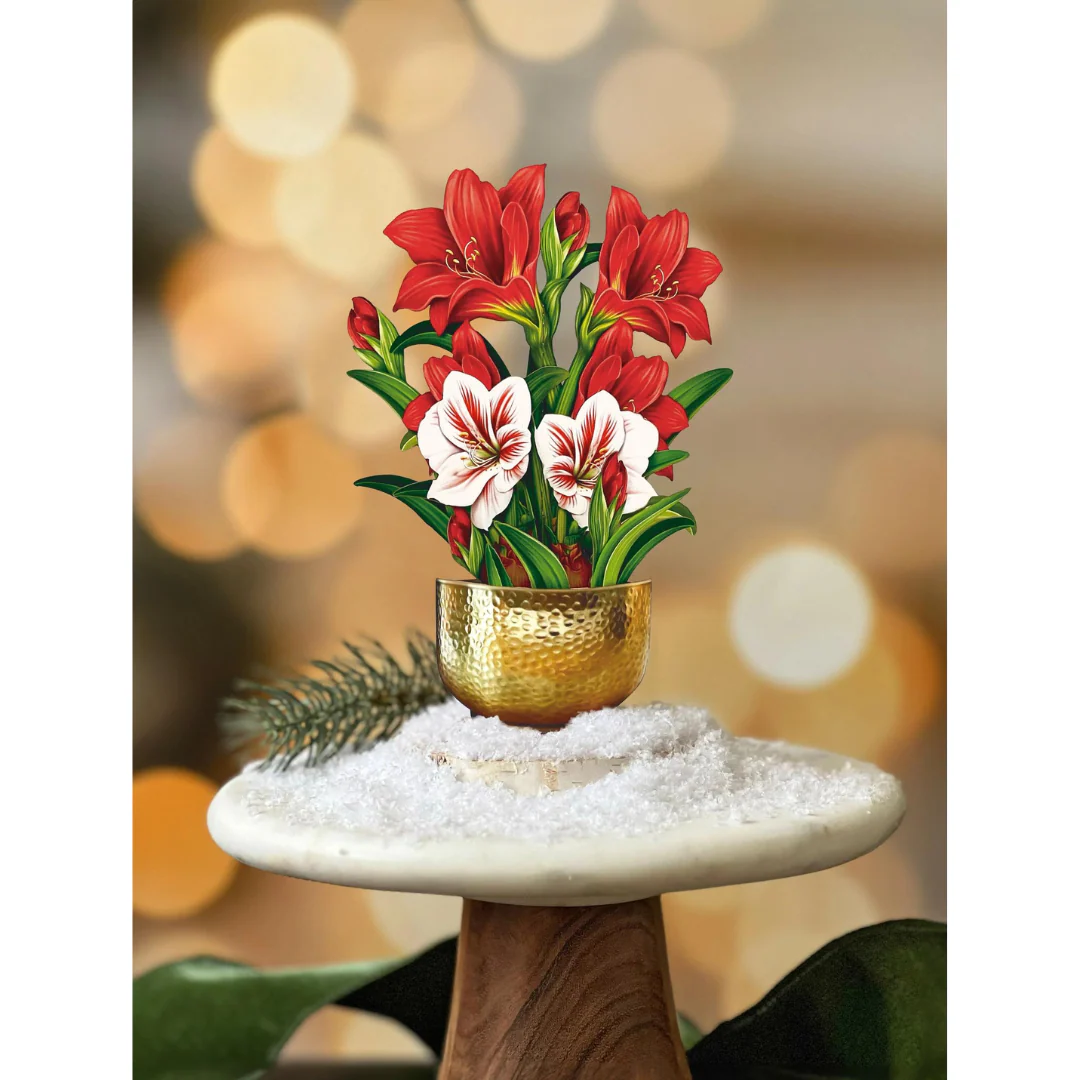 Scarlet Amaryllis Pop-up Card - Image 2