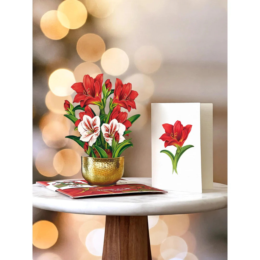 Scarlet Amaryllis Pop-up Card - Image 3