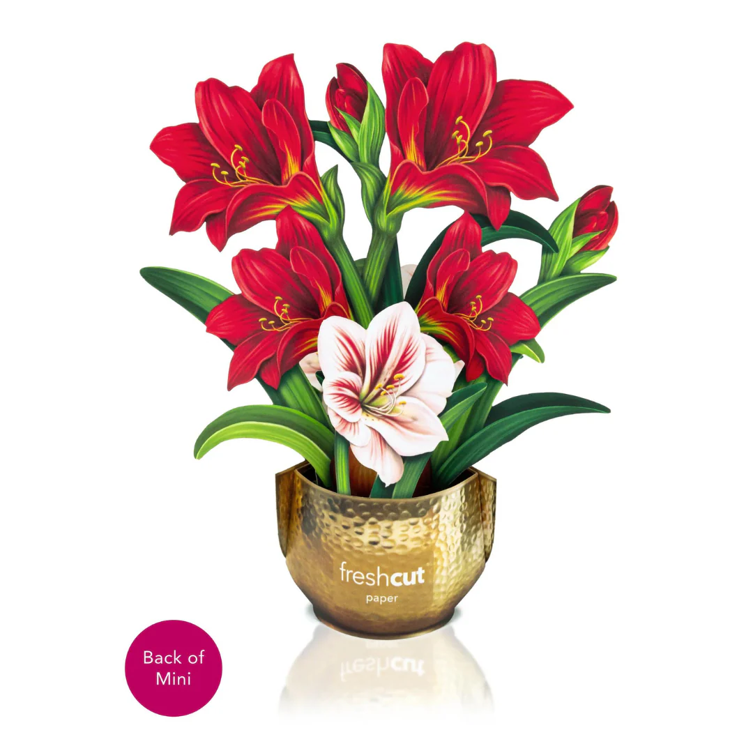 Scarlet Amaryllis Pop-up Card - Image 4