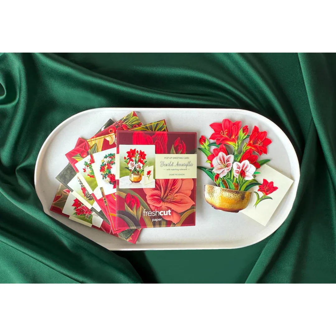 FreshCut Paper Set of 5 Minis - Holiday Collection - Image 2