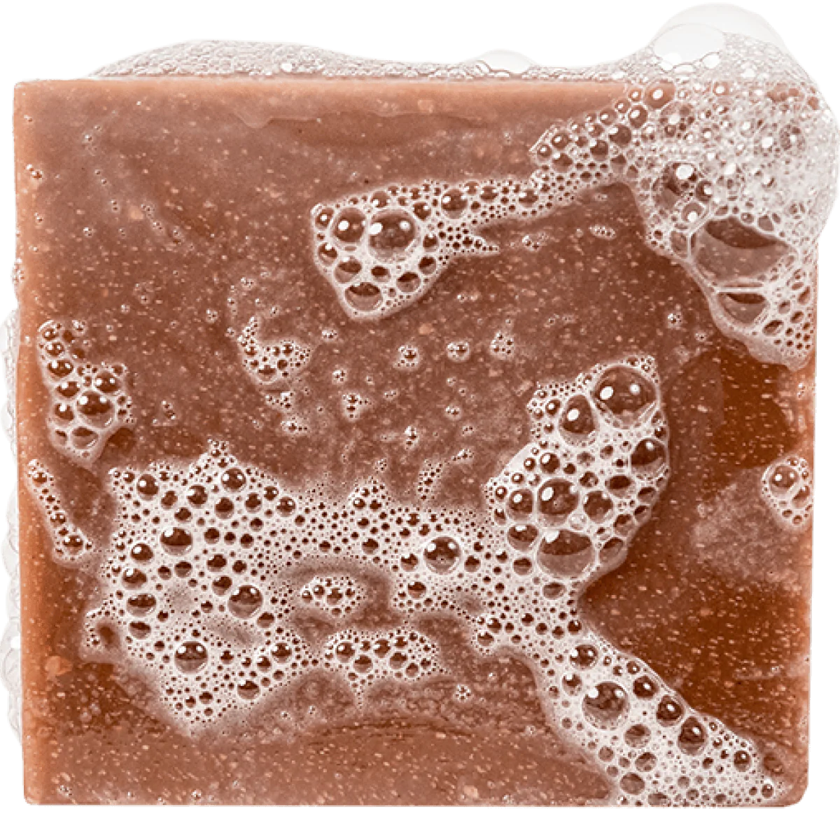 Dr. Squatch Bar Soap - Gold Moss - Image 2