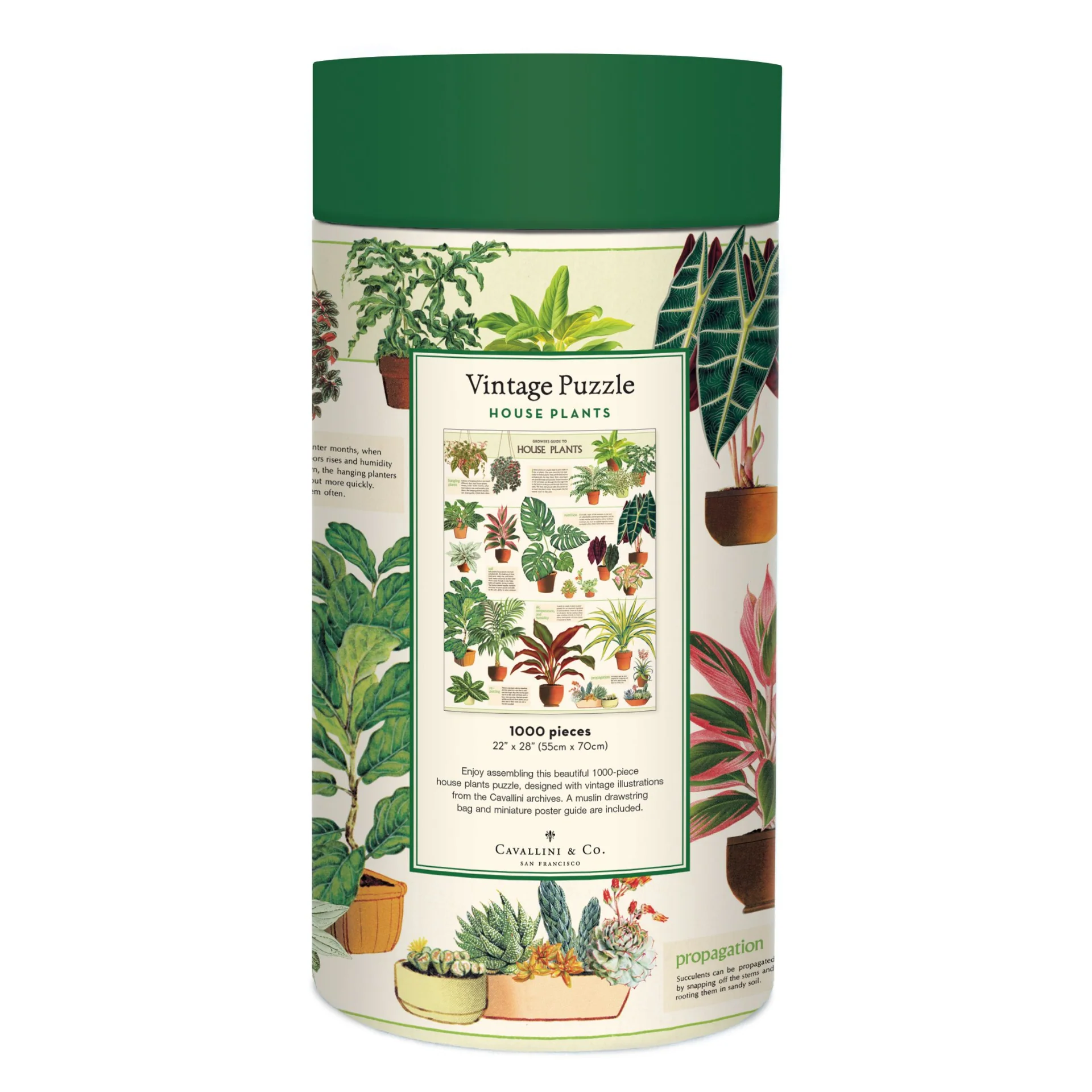 Cavallini & Co. 1000 Piece Puzzle - House Plants - Image 3