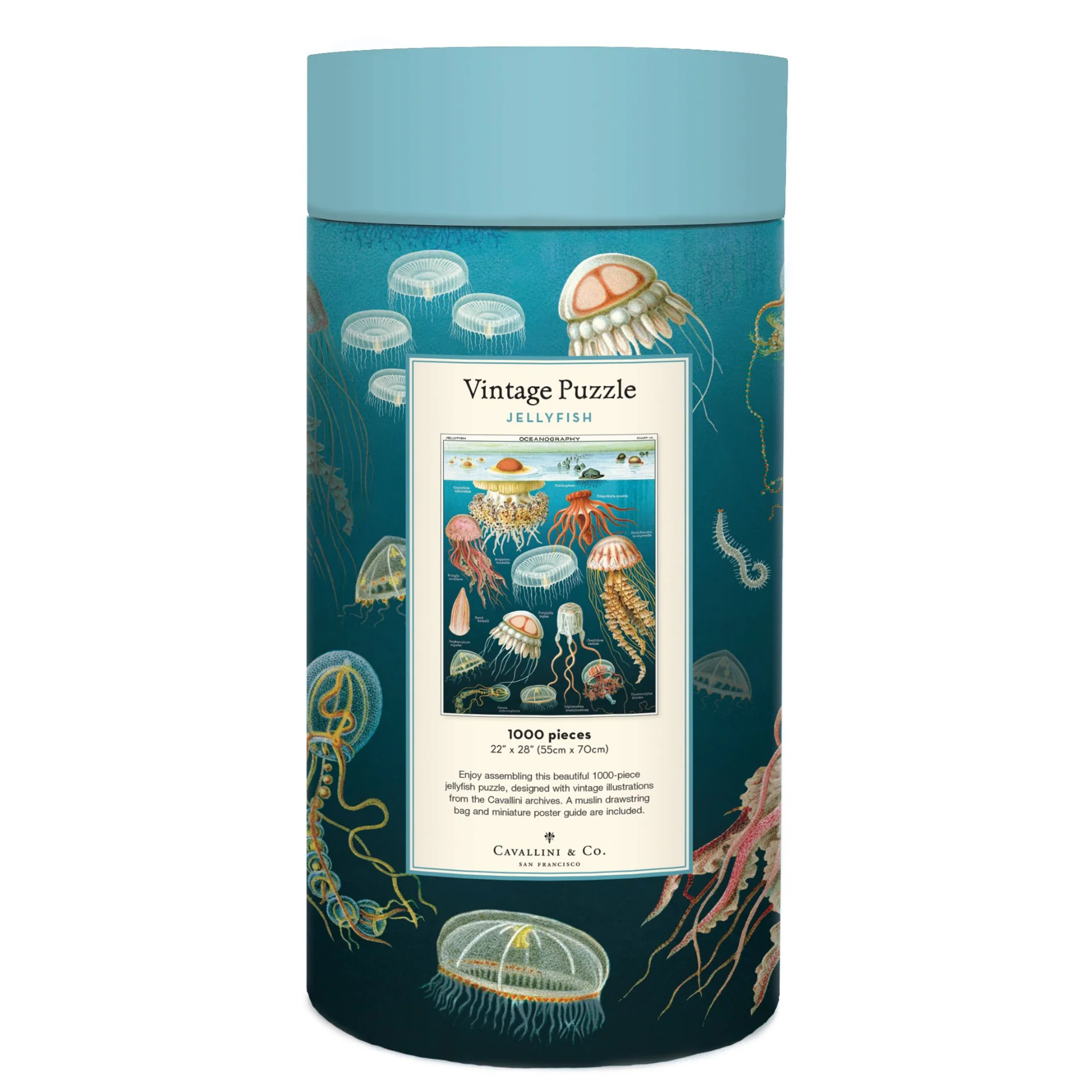 Cavallini & Co. 1000 Piece Puzzle - Jellyfish - Image 3