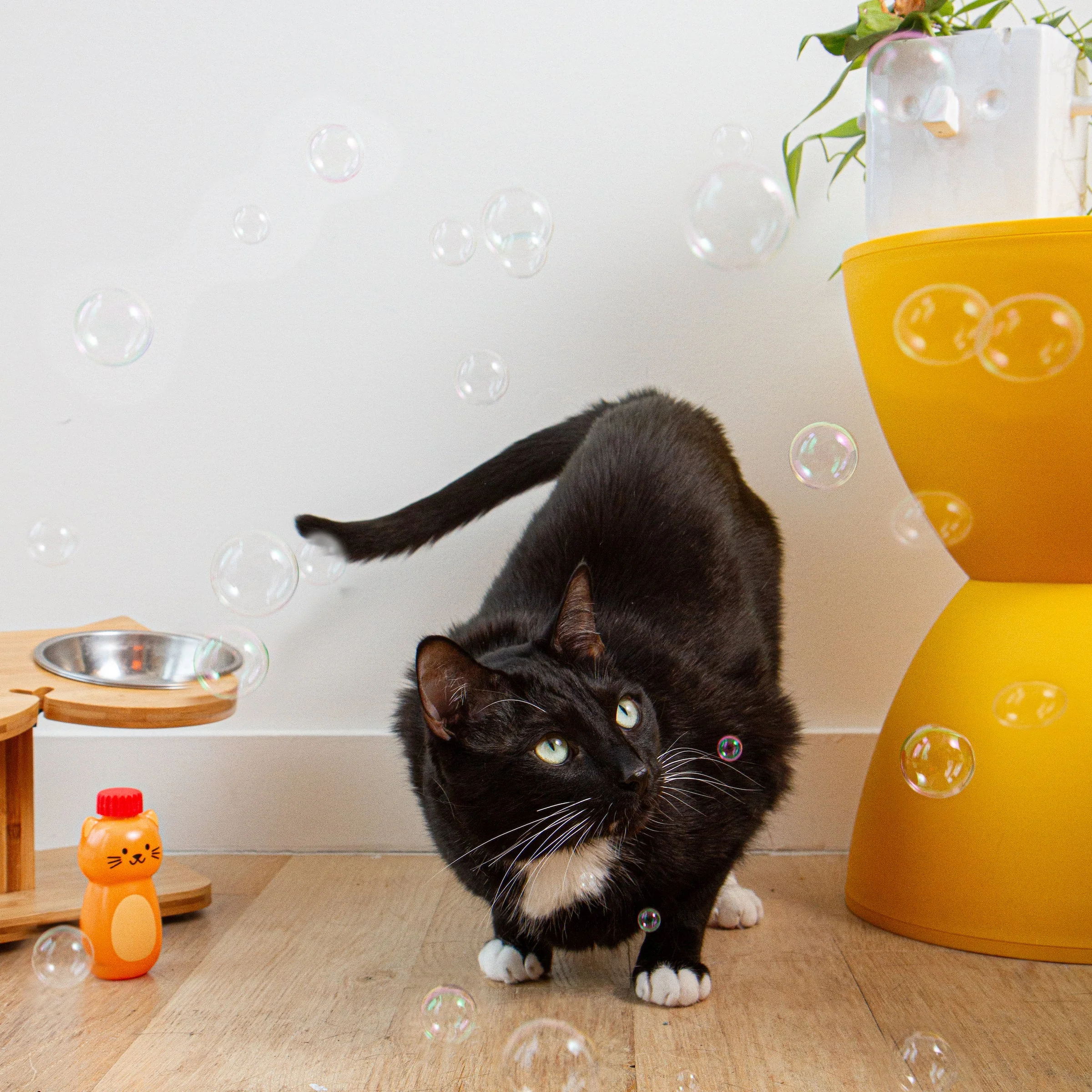 Kiko Catnip Bubbles - Image 2