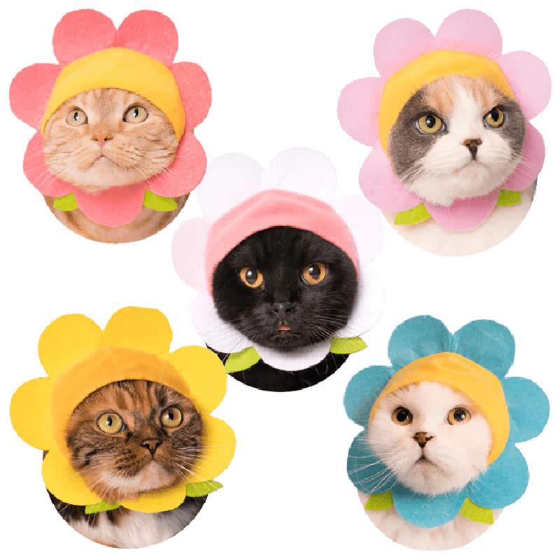 Cat Cap Flower - Image 2