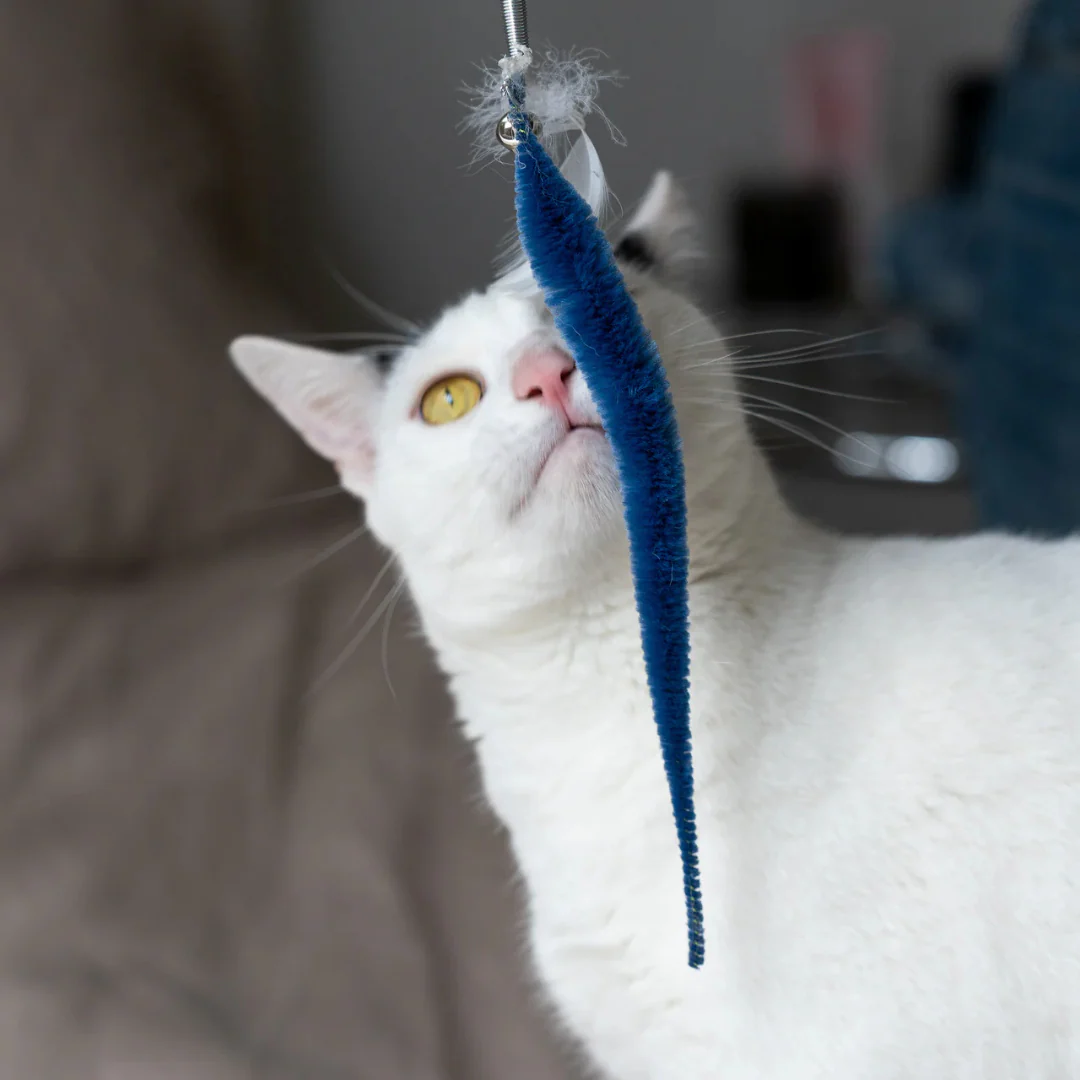 Kitty Teaser Wand - Image 2