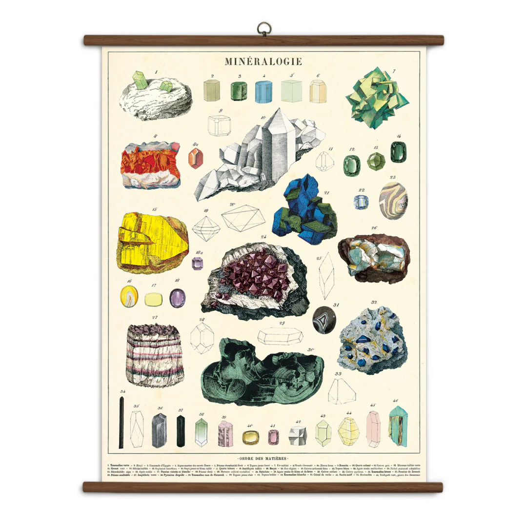 Cavallini & Co. Vintage School Chart - Mineralogy