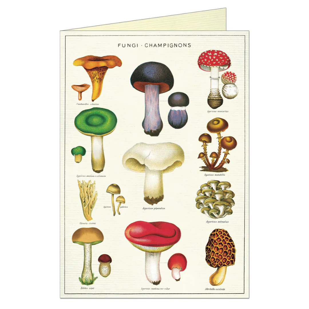 Cavallini & Co. Greeting Card - Mushrooms