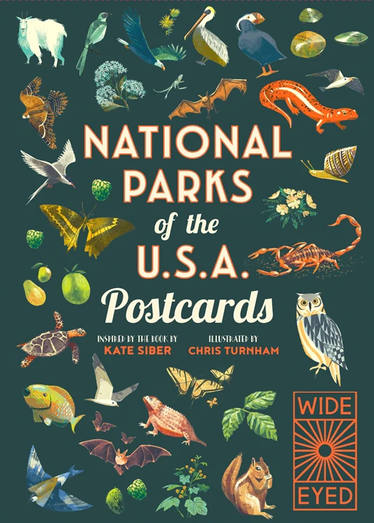 National Parks of the USA Postcards - Image 2