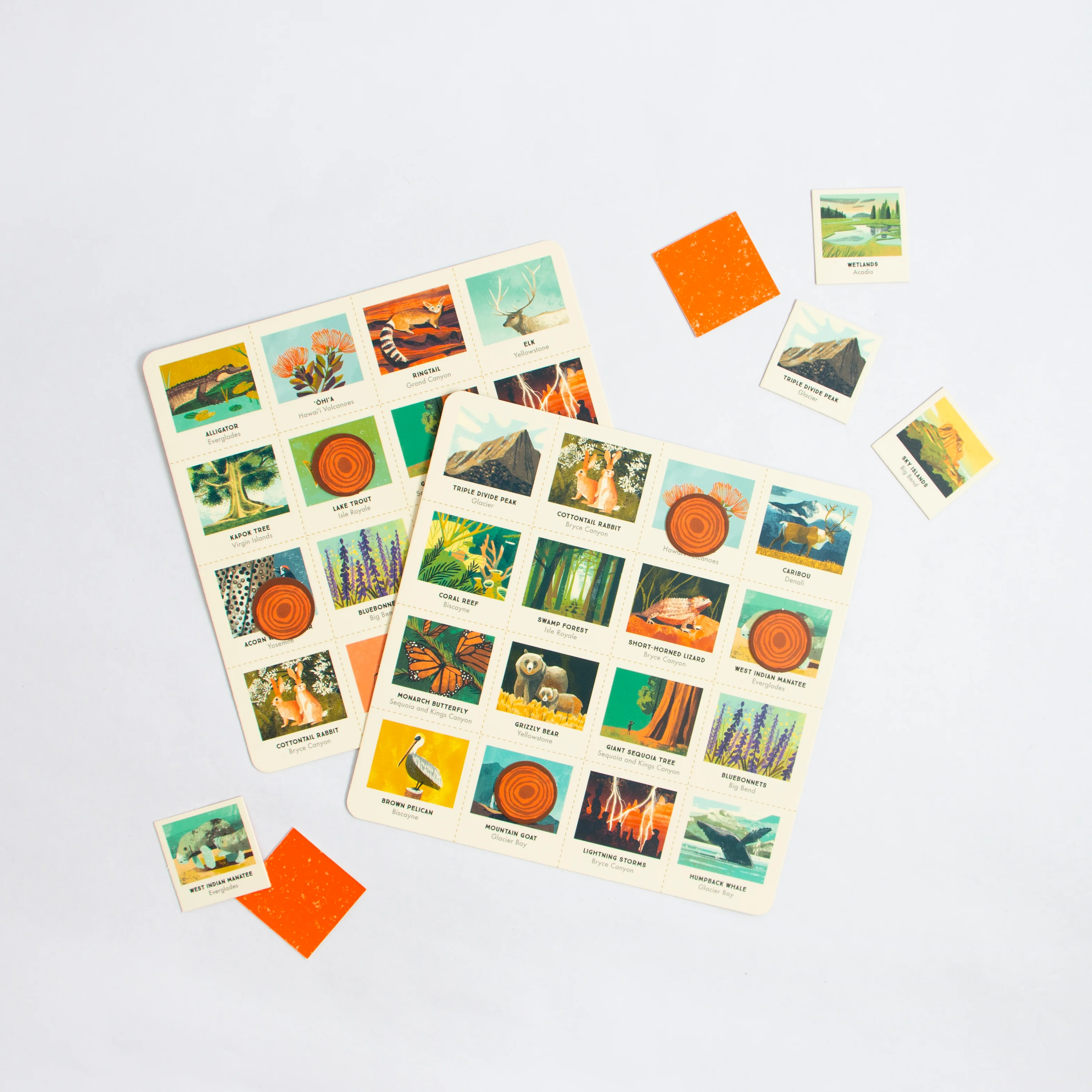 National Parks USA Bingo - Image 3